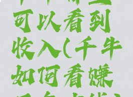 千牛哪里可以看到收入(千牛如何看赚了多少钱)