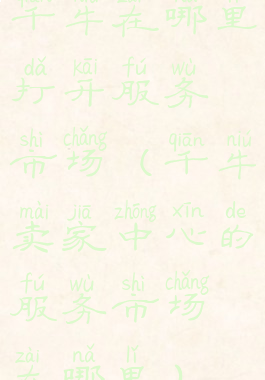 千牛在哪里打开服务市场(千牛卖家中心的服务市场在哪里)