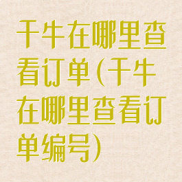 千牛在哪里查看订单(千牛在哪里查看订单编号)