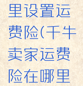 千牛在哪里设置运费险(千牛卖家运费险在哪里开通)