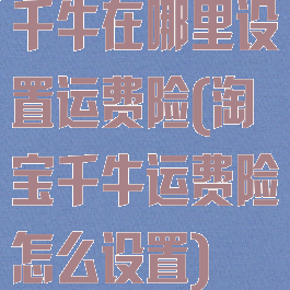 千牛在哪里设置运费险(淘宝千牛运费险怎么设置)