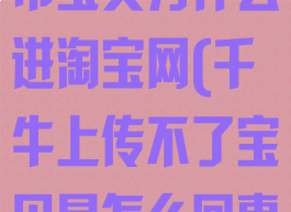 千牛工作台发布宝贝为什么进淘宝网(千牛上传不了宝贝是怎么回事)