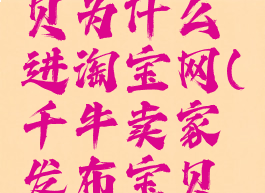 千牛工作台发布宝贝为什么进淘宝网(千牛卖家发布宝贝怎么发布不了)