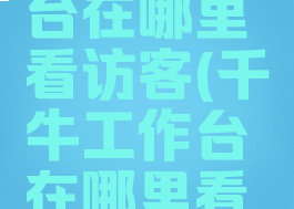 千牛工作台在哪里看访客(千牛工作台在哪里看消息)