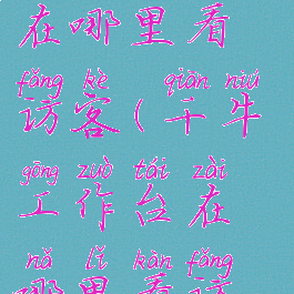 千牛工作台在哪里看访客(千牛工作台在哪里看访客数据)