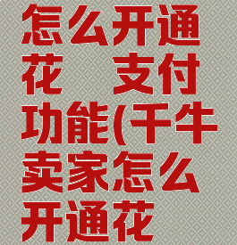 千牛店铺怎么开通花呗支付功能(千牛卖家怎么开通花呗收款)
