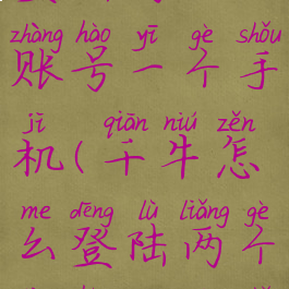 千牛怎么登陆两个账号一个手机(千牛怎么登陆两个账号一个手机登录)