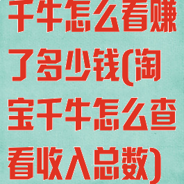 千牛怎么看赚了多少钱(淘宝千牛怎么查看收入总数)