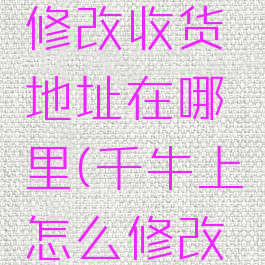 千牛怎么修改收货地址在哪里(千牛上怎么修改收货地址)