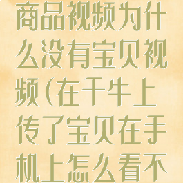 千牛怎么上传商品视频为什么没有宝贝视频(在千牛上传了宝贝在手机上怎么看不到)