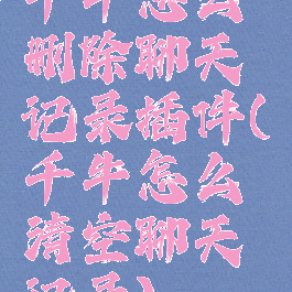 千牛怎么删除聊天记录插件(千牛怎么清空聊天记录)