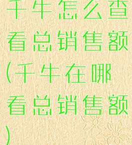 千牛怎么查看总销售额(千牛在哪看总销售额)