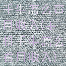 千牛怎么查月收入(手机千牛怎么看月收入)