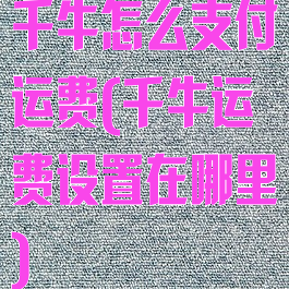 千牛怎么支付运费(千牛运费设置在哪里)