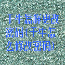 千牛怎样更改密码(千牛怎么修改密码)