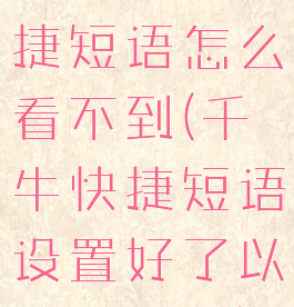 千牛设置快捷短语怎么看不到(千牛快捷短语设置好了以后怎么用)