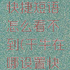 千牛设置快捷短语怎么看不到(千牛在哪设置快捷短语)