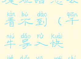 千牛设置快捷短语怎么看不到(千牛导入快捷短语为什么看不见)