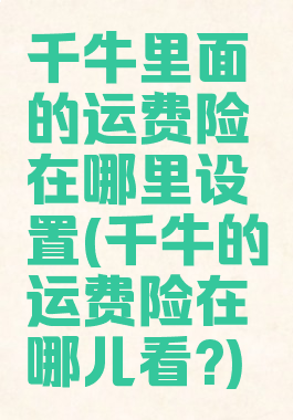 千牛里面的运费险在哪里设置(千牛的运费险在哪儿看?)