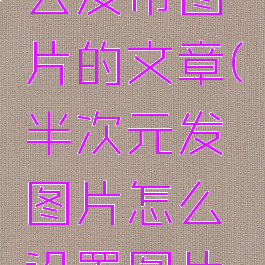 半次元怎么发带图片的文章(半次元发图片怎么设置图片水印)
