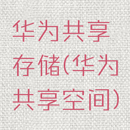 华为共享存储(华为共享空间)