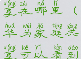 华为家庭共享在哪里(华为家庭共享可以看到哪些)