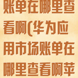 华为应用市场账单在哪里查看啊(华为应用市场账单在哪里查看啊苹果)