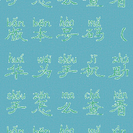 华为手机助手怎么查看版本号码(华为手机助手怎么查看版本号码信息)