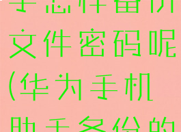 华为手机助手怎样备份文件密码呢(华为手机助手备份的文件)