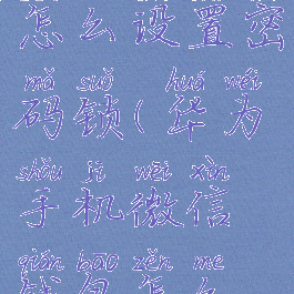 华为手机微信钱包怎么设置密码锁(华为手机微信钱包怎么设置密码?)