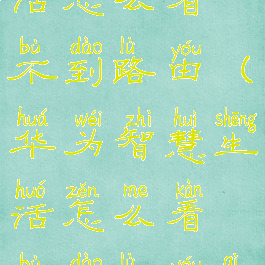 华为智慧生活怎么看不到路由(华为智慧生活怎么看不到路由器设置)