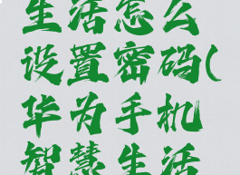 华为智慧生活怎么设置密码(华为手机智慧生活使用教程)