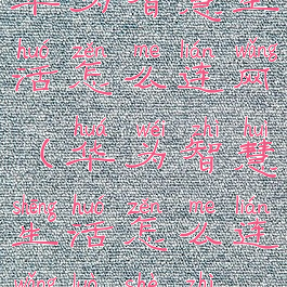 华为智慧生活怎么连网(华为智慧生活怎么连网络设置)