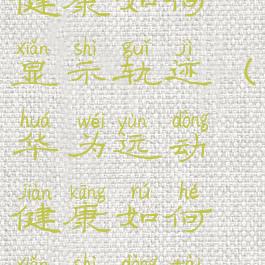 华为运动健康如何显示轨迹(华为运动健康如何显示动态轨迹)