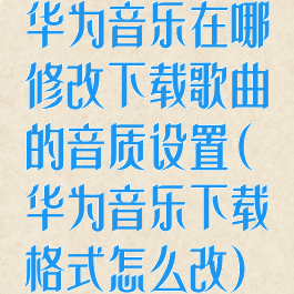华为音乐在哪修改下载歌曲的音质设置(华为音乐下载格式怎么改)
