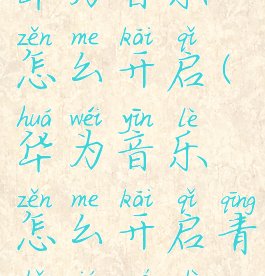 华为音乐怎么开启(华为音乐怎么开启青少年模式)