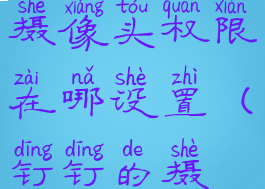 华为钉钉摄像头权限在哪设置(钉钉的摄像头权限)