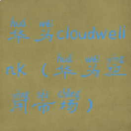华为cloudwelink(华为应用市场)