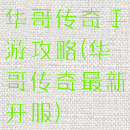 华哥传奇手游攻略(华哥传奇最新开服)