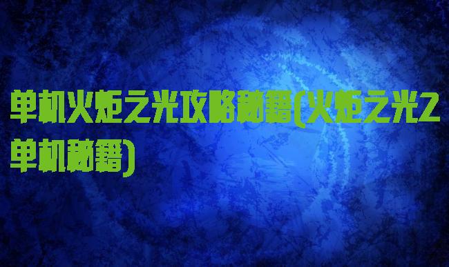 单机火炬之光攻略秘籍(火炬之光2单机秘籍)