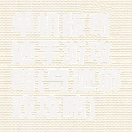 单机版奇迹手游攻略(奇迹游戏攻略)