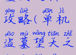 单机盗墓望天之川攻略(单机盗墓望天之川攻略视频)