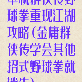 单机群侠传野球拳重现江湖攻略(金庸群侠传学会其他招式野球拳就消失)