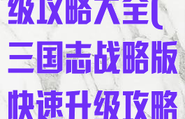 单机三国志升级攻略大全(三国志战略版快速升级攻略)