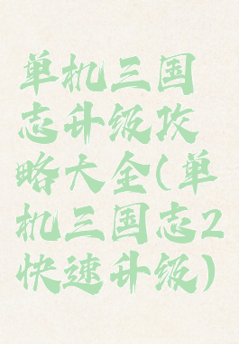 单机三国志升级攻略大全(单机三国志2快速升级)