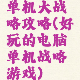 单机大战略攻略(好玩的电脑单机战略游戏)