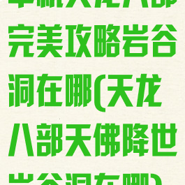 单机天龙八部完美攻略岩谷洞在哪(天龙八部天佛降世岩谷洞在哪)