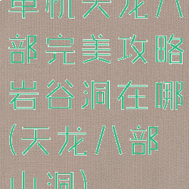 单机天龙八部完美攻略岩谷洞在哪(天龙八部山洞)