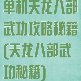 单机天龙八部武功攻略秘籍(天龙八部武功秘籍)