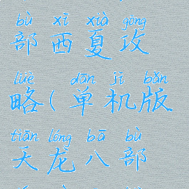 单机天龙八部西夏攻略(单机版天龙八部详细攻略)